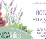BOTANICAfolias Villa Mondragone 5 e 6 maggio 2018.jpg BOTANICAfolias Villa Mondragone 5 e 6 maggio 2018.jpg
